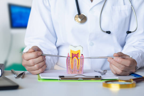 Best Emergency Orthodontic Repairs in Laguna Vista, TX